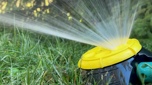 Garden sprinkler watering the green grass in the backyard