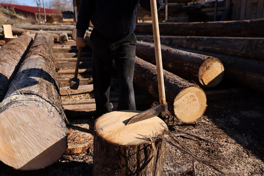 Forestry worker preparing to split a spruce log with a traditional splitting maul in a timber yard