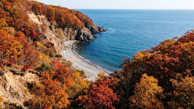 Aerial view of an autumn forest cliff meeting a rocky beach and blue ocean.
