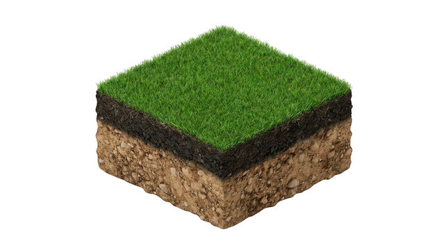 Cross section of a grass field with soil layers isolated on transparent background
