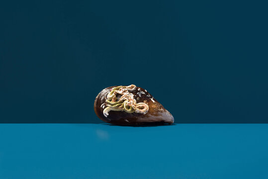 Raw mussel with parasitic worms on blue background