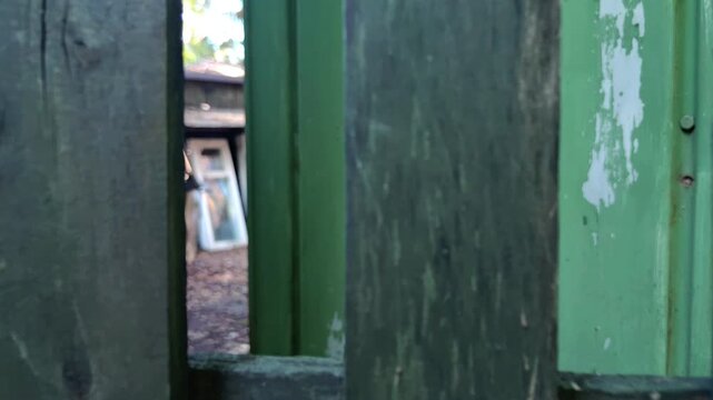 Old green wooden gate opening to reveal a yard beyond, rustic entrance, property access, residential exterior, outdoor architecture.