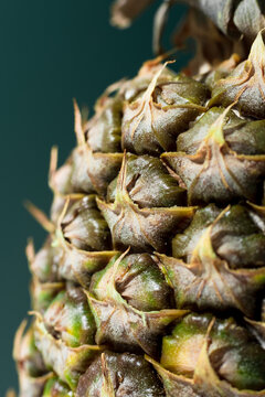 Macro close-up of tropical pineapple rind texture