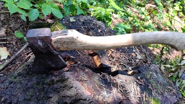 Close up of an axe lodged in a split tree stump, forestry equipment, firewood preparation, rustic woodworking, outdoor woodland setting.
