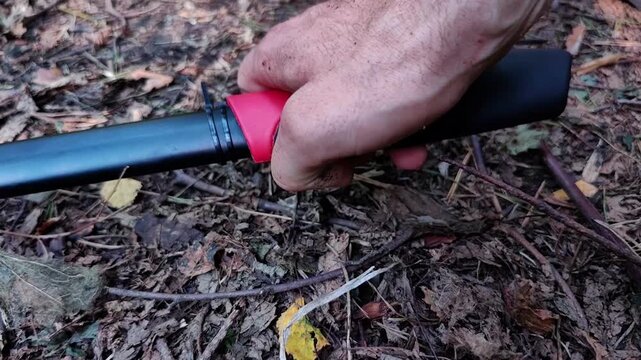 Man tacking professional garden loppers after pruning from the forest floor, tool maintenance, landscaping equipment, outdoor gardening, forest setting.