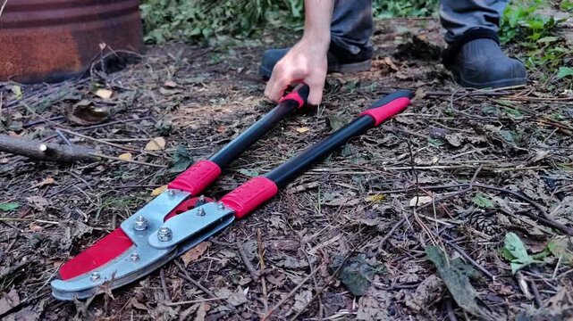 man taking Professional garden loppers from the forest floor after pruning work, landscaping equipment, woodland maintenance, gardening tools, outdoor setting.