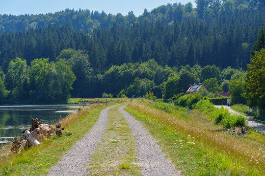 Scenic Dirt Road Along Calm Lake in the Bavaria Forest Landscape