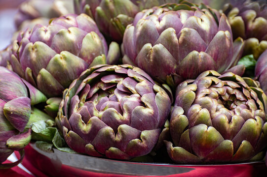 Fresh artichokes by entrance in kosher restaurant in Jewish Quarter of Rome in the Sant'Angelo neighborhood, ingredient of Jewish-style Roman artichokes or carciofi alla giudia