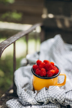 Fresh raspberries in yellow mug for farm to table snack