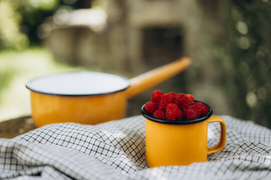 Fresh raspberry harvest in enamel mug at countryside table
