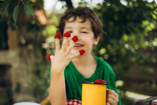 Child with raspberries enjoys healthy countryside fruit picking