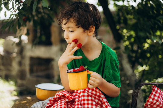 Child enjoy fresh raspberries during countryside fruit picking