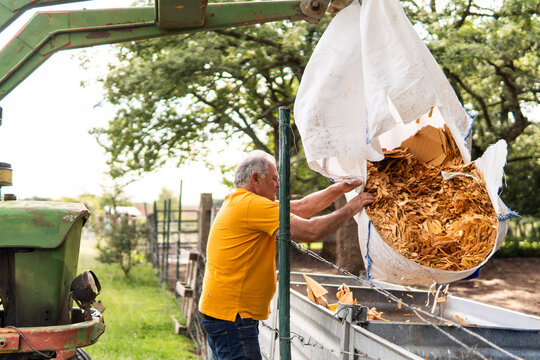 Senior farmer unloads wood chip bag with tractor