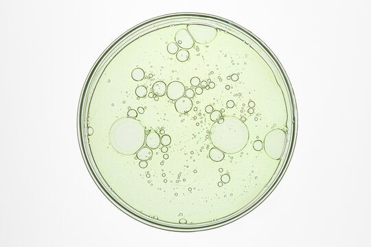 Natural organic skincare serum sample in laboratory dish