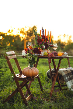 Fall table decoration with pumpkin composition. Family cozy thanksgiving dinner arrangement outdoors, in a garden, elegant wedding decor. Countryside style, rose wine, cheeseboard, fruits, autumn mood
