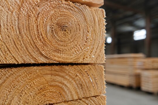 Stacked timber planks in sawmill, close up of wood grain texture, industrial lumber warehouse
