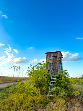 Farm by wind turbines. A small wooden structure stands by a dirt road in a field.