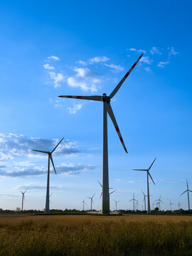 Turbines in a field under blue. Tall wind turbines turn slowly in a wide field during daylight. The sky is bright with few clouds.