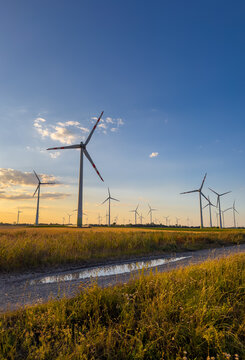 Wind turbines in a field during sunset. Wind turbines stand tall in a field as the sun sets in the background. A dirt road runs through the scene.