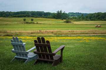 Fototapeta premium Vermont summer meadow landscape in Middlebury with two Adirondack benches