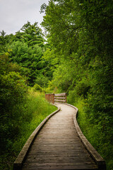 Obraz premium Curved boardwalk over swamp land, Vermont summer meadow hiking trail landscape in Middlebury