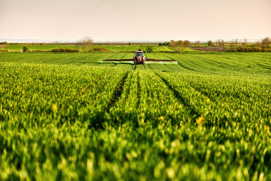Farmer tractor spraying pesticides on green wheat crop field in agricultural land