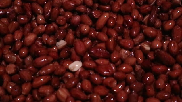 A close up top view of many raw red peanuts in their skins.