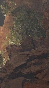 A rocky landscape shows a steep canyon wall with green plants growing among the stones. Sunlight highlights the textures of the rocks. The setting is natural and rugged.