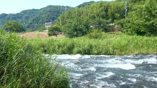 Summer scenery of the clear Nakatsu River near Hasuge Bridge, Aikawa Town, Aiko District, Kanagawa Prefecture, Japan. 