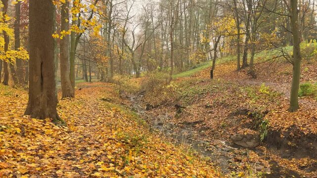 Autumn landscape with a winding waterway and colorful foliage. Suitable visual for planning, strategy, long term vision and future development