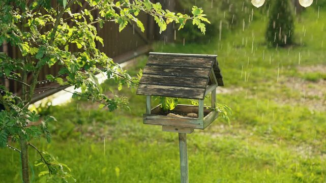 Heavy summer rain falling in a lush green garden with a wooden bird feeder, with bright sunshine creating a beautiful and serene natural weather phenomenon in the backyard during a warm day
