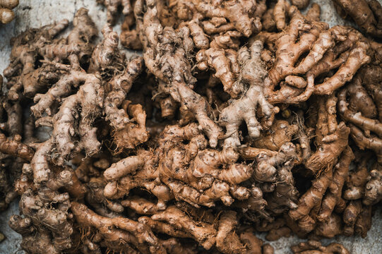 Fresh galangal root at Luang Prabang market in Laos