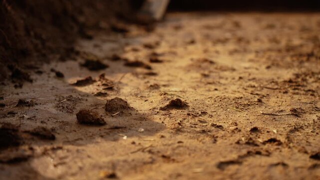 Close up view of raindrops hitting the wet, muddy soil during a light shower, creating small ripples and splashes on the earthy surface illuminated by a warm, soft light