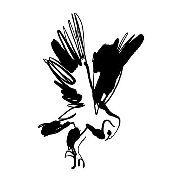 Flying owl black silhouette swooping down with open wings drawn in expressive ink dry brush scribble line art style, wild bird of prey nature artisanal vector, good for tattoo and logo