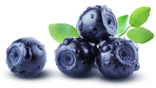 Juicy ripe bilberries with leaves and water drops isolated on transparent background. Natural forest berry.