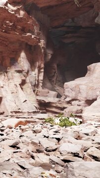 A large cave is located in a rocky area. The ground is covered with stones, and a small plant grows near the cave entrance. Light seems dim inside the cave, creating shadows.