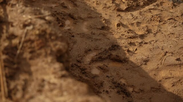 Close up of a bicycle tire tread mark imprinted in the soft, brown dirt of an off road trail, showing the pattern left behind in the soil during a sunny day cycling adventure