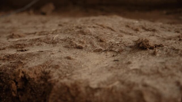 Detailed macro perspective of a rough, arid brown earth surface moving slowly, showcasing the dry, dusty texture of the soil in a shallow focus with a blurred, warm background