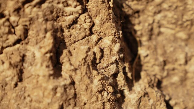 Extreme close up showing the detailed texture of dry, cracked earth with a shallow depth of field, revealing the rugged and arid surface of the parched ground in bright sunlight