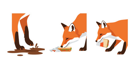 Fototapeta premium Red Fox Foraging and Stepping in Mud Puddle Flat Vector