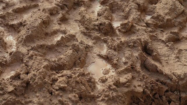 Muddy ground with deep vehicle wheel imprints and small puddles of water creating a textured background. Detailed view of a dirt road after heavy rain showing the rough terrain for off road driving