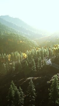 Sunlight shines on a landscape filled with trees and mountains. A road winds through the area, showcasing nature and the beauty of the outdoors during daytime.