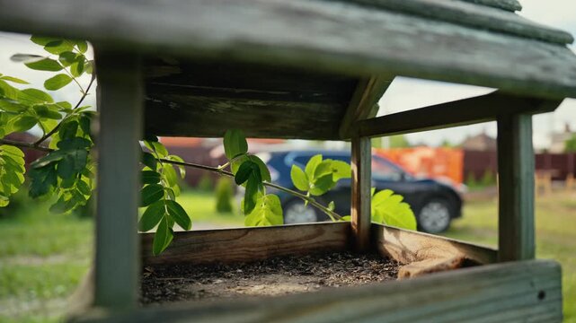 Old wooden bird feeder filled with seeds and husks hanging in a garden on a sunny day. Green leaves from a nearby tree gently sway in the breeze, with a grassy backyard in the background