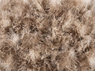 Obraz premium High definition macro photograph of seamless owl down feather pattern texture