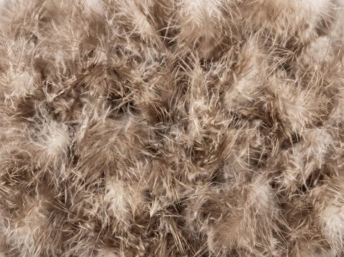 High definition macro photograph of seamless owl down feather pattern texture