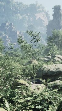 A person walks through a dense forest filled with many trees and rocks. The sun shines down, creating a bright atmosphere. Mountains rise in the background, adding to the scenery.