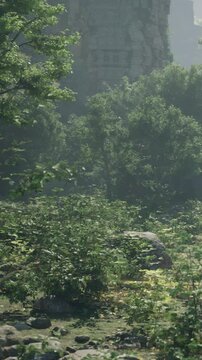 A group of trees stands in a green area. Sunlight filters through the branches, and rocks are scattered around. The scene shows a vibrant, lush environment filled with plants.