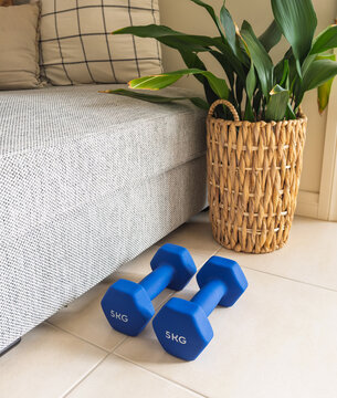 Dumbbells Home Workout Challenge Concept