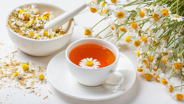 White cup of hot chamomile tea, a mortar with dry daisies buds and a bouquet of Matricaria chamomilla on concrete background. Herbal drink, healthy lifestyle concept.