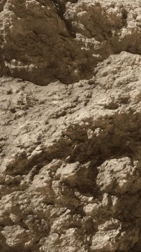 The scene shows a close up view of a rough rock surface in an outdoor setting. The texture reveals various shades and shapes indicating natural processes.